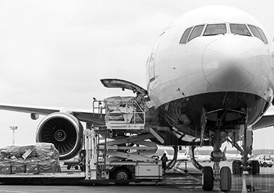 Transporte internacional - Questlog